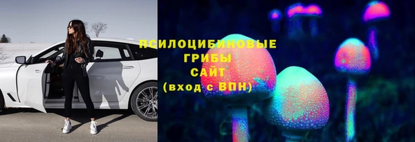 эйфоретик Осинники