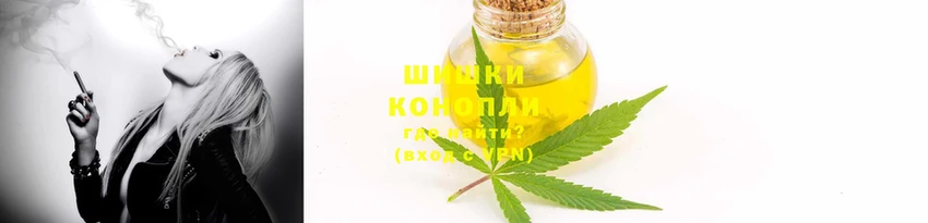 амф Вуктыл