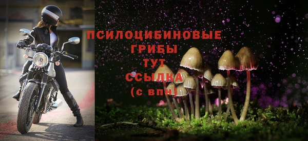 твердый Абдулино