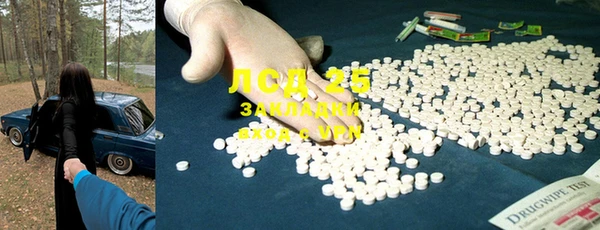 эйфоретик Осинники