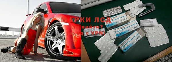 spice Остров